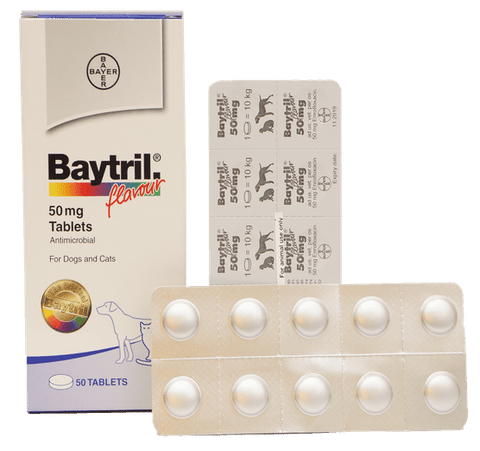 Baytril Flavour 50 mg