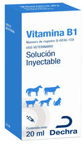 Vitamina B1 - Alimentos Balancedos Mi Ranchito