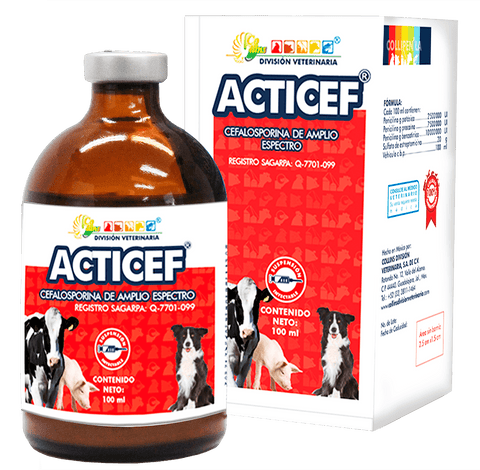 Acticef - Alimentos Balancedos Mi Ranchito