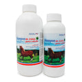 Shampoo de Zabila Para Caballo - Alimentos Balancedos Mi Ranchito